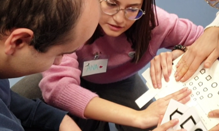 PROYECTO REVISIONES VISUALES EN CEPRI Y PAUTA