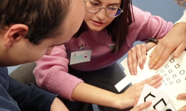 PROYECTO REVISIONES VISUALES EN CEPRI Y PAUTA